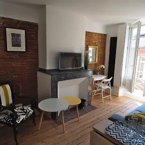 Brick And Wood - Hypercentre - Tv - Wifi Apartment Toulouse